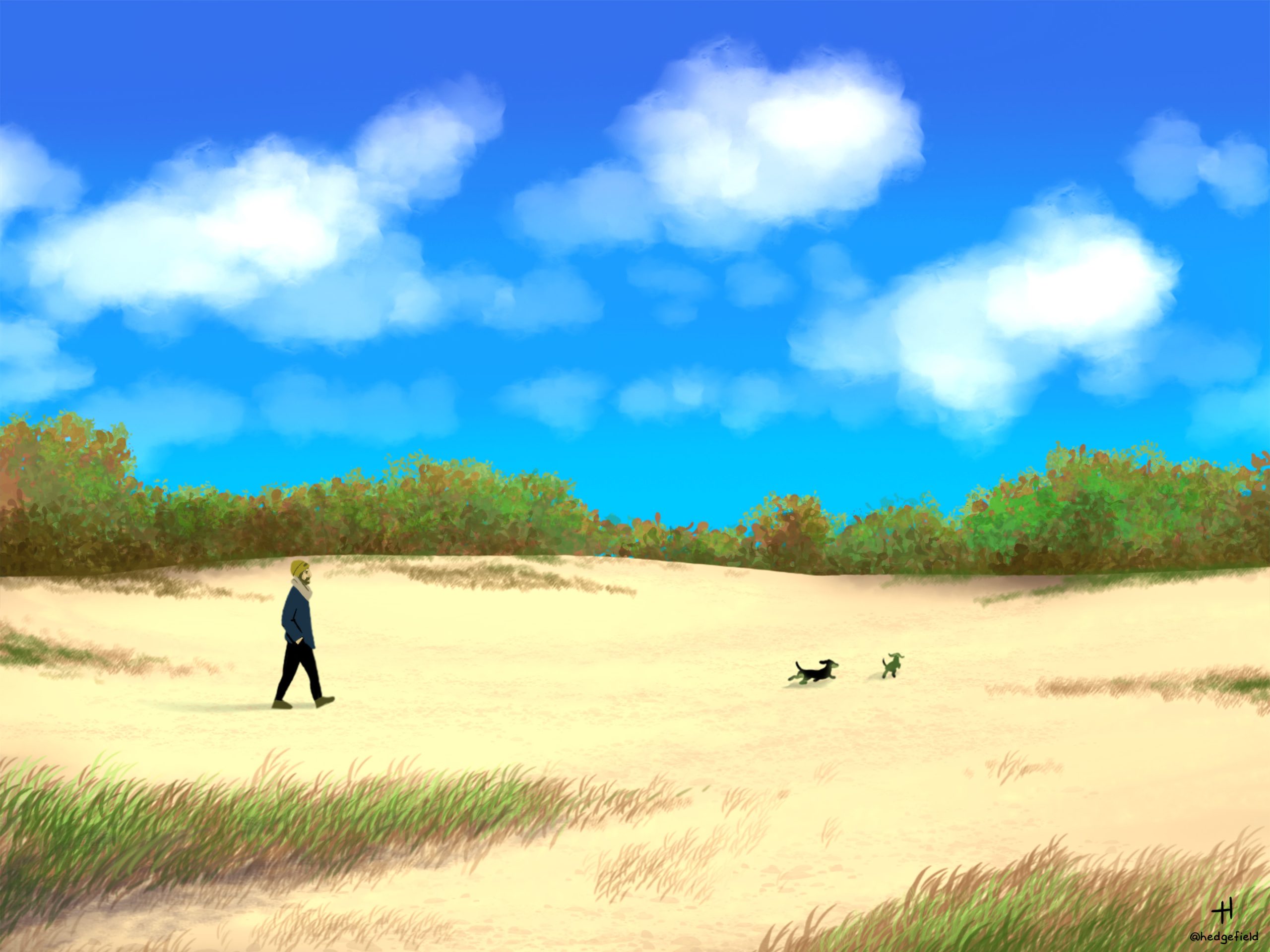 The Wide Open